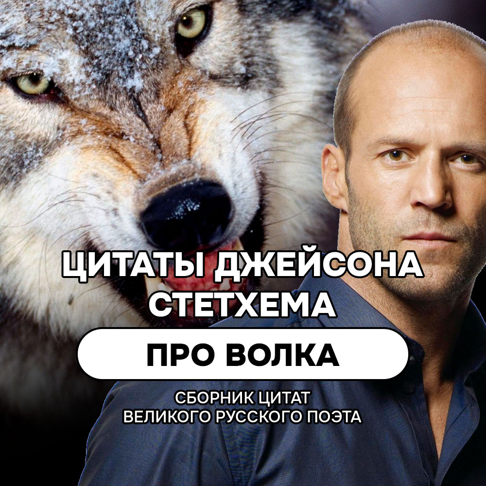 Про волка цитаты и мемы Джейсона Стетхема