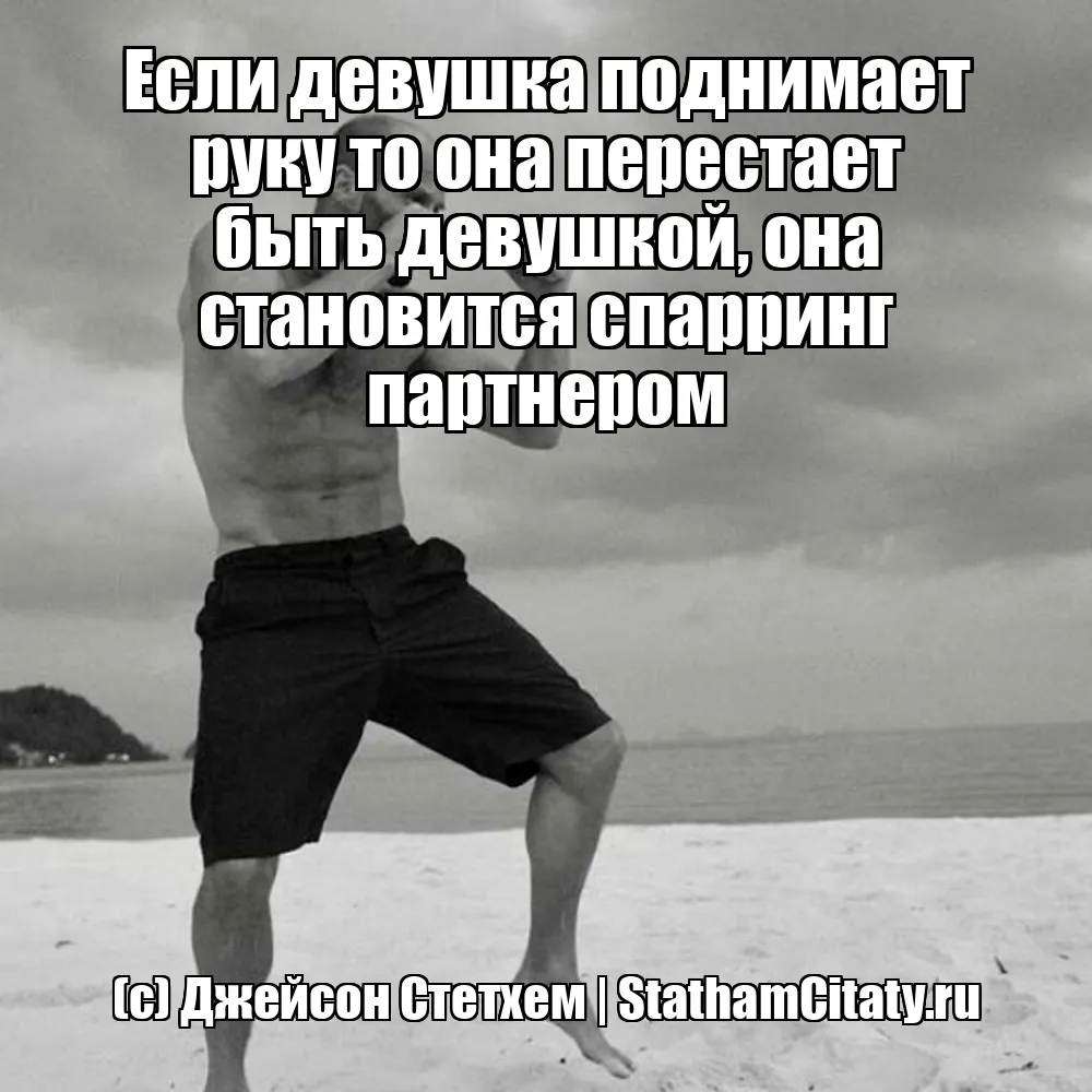 Если девушка поднимает руку то она перестает быть девушкой, она становится спарринг партнером  (с) Джейсон Стетхем