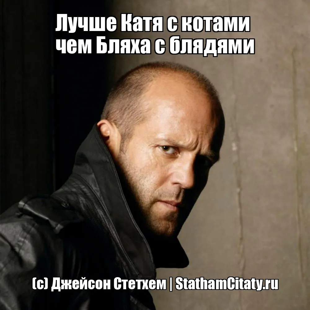 Лучше Катя с котами
чем Бляха с блядями  (с) Джейсон Стетхем
