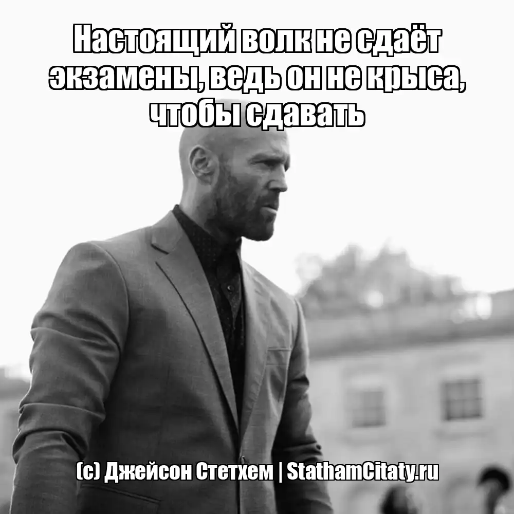 Настоящий волк не сдаёт экзамены, ведь он не крыса, чтобы сдавать  (с) Джейсон Стетхем