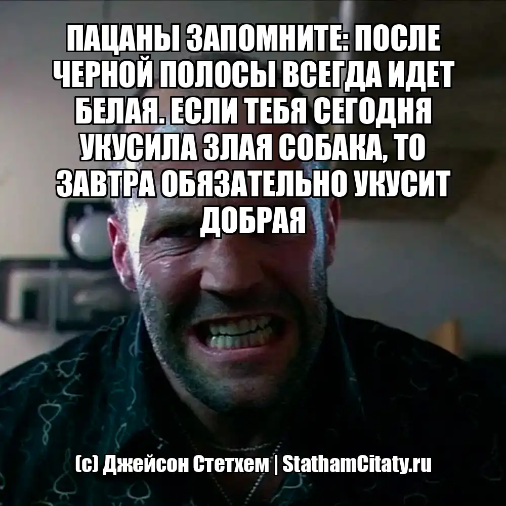 ПАЦАНЫ ЗАПОМНИТЕ: ПОСЛЕ ЧЕРНОЙ ПОЛОСЫ ВСЕГДА ИДЕТ БЕЛАЯ. ЕСЛИ ТЕБЯ СЕГОДНЯ УКУСИЛА ЗЛАЯ СОБАКА, ТО ЗАВТРА ОБЯЗАТЕЛЬНО УКУСИТ ДОБРАЯ  (с) Джейсон Стетхем