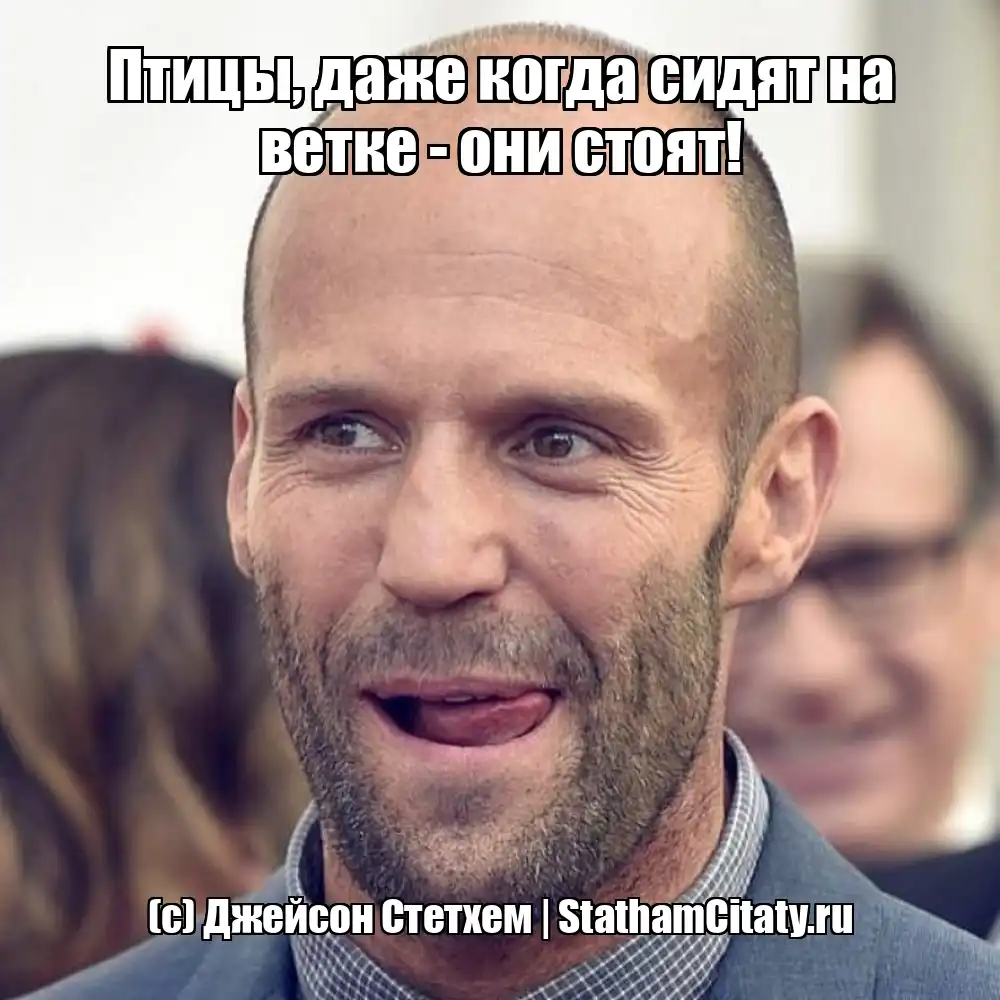 Птицы, даже когда сидят на ветке - они стоят!  (с) Джейсон Стетхем