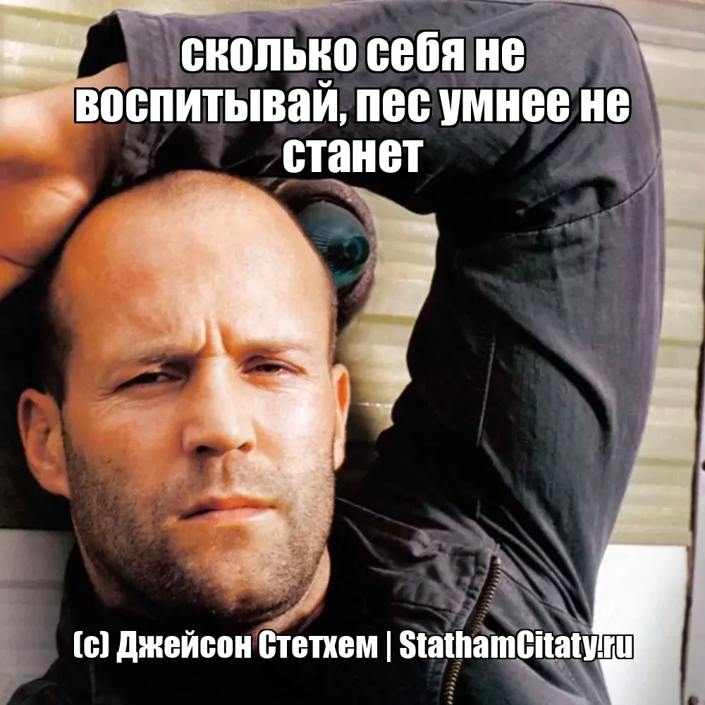 сколько себя не воспитывай, пес умнее не станет  (с) Джейсон Стетхем