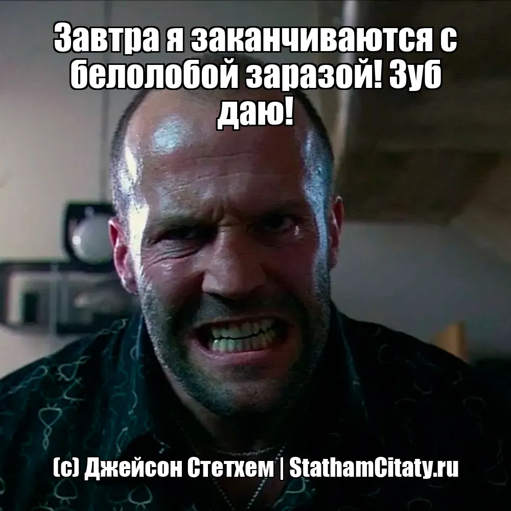 Завтра я заканчиваются с белолобой заразой! Зуб даю!  (с) Джейсон Стетхем